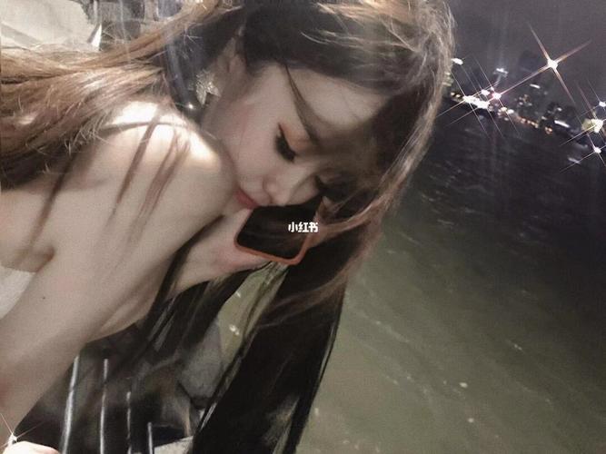 诺提里森：于黎明之前